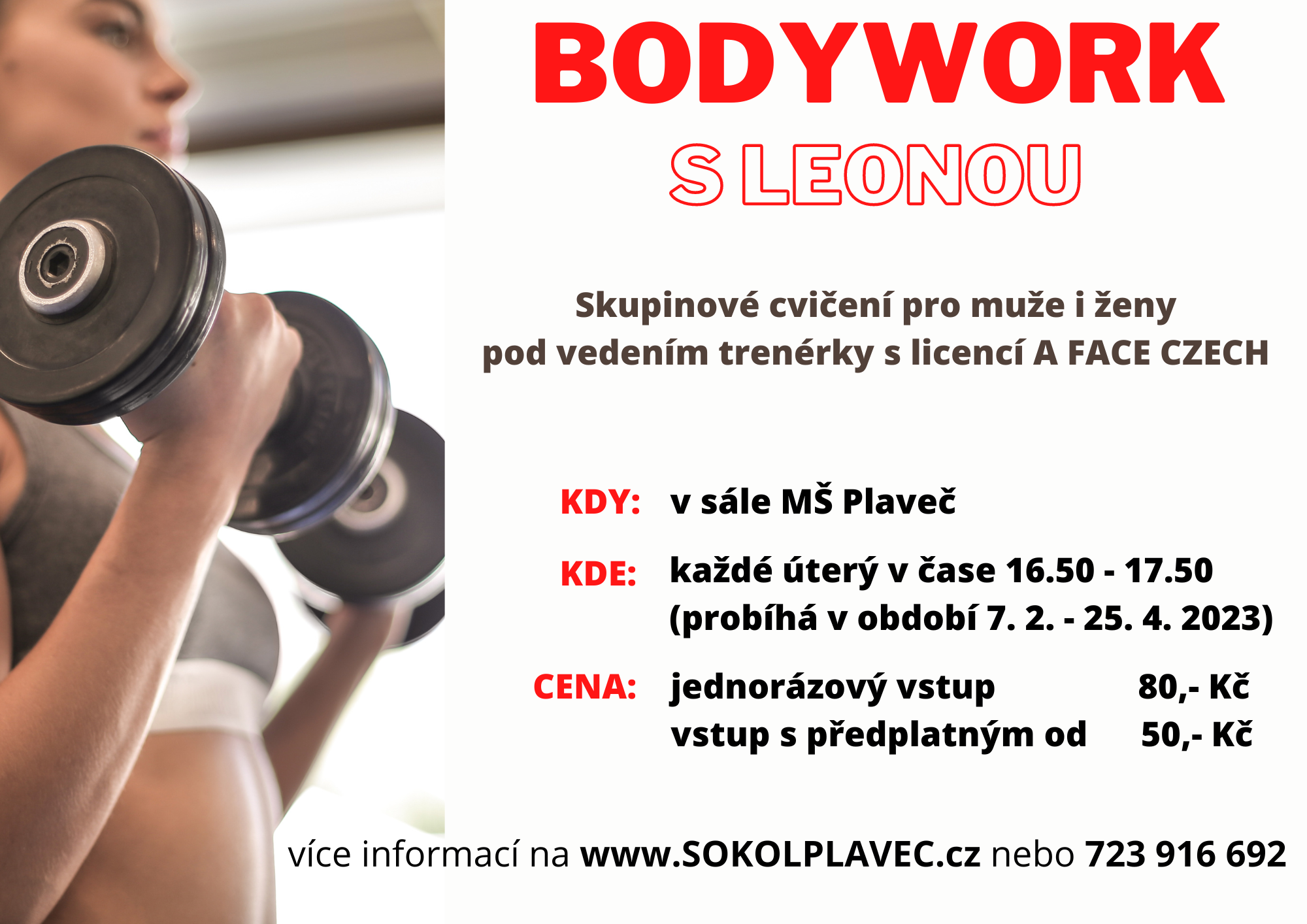 Bodywork s Leonou